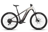 Aventon Ramblas ADV Electric Mountain Bike