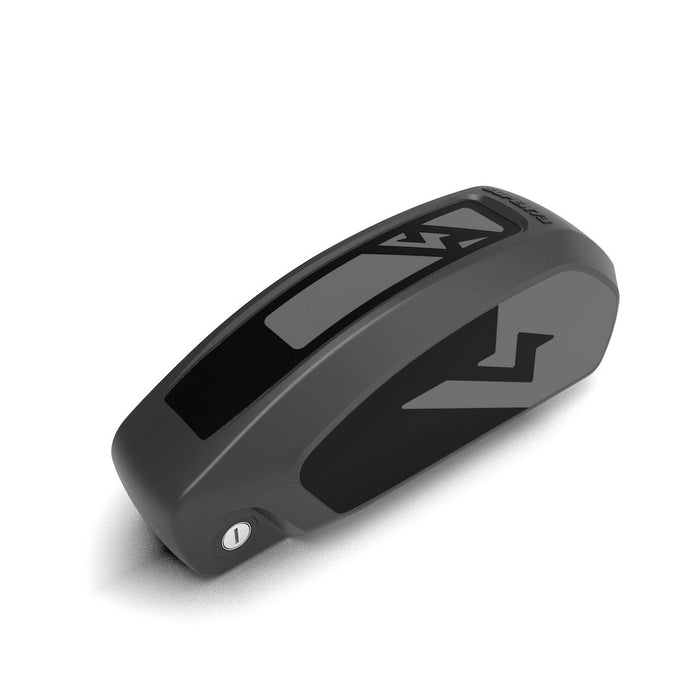 PRO 1000 Battery