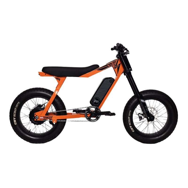 P51 The Ranger Electric Bike