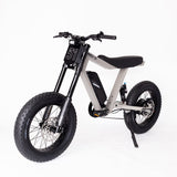 P51 The Ace e-bike detail