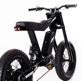 P51 The Ace e-bike