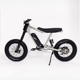 P51 The Ace e-bike