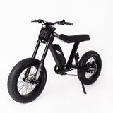 P51 The Ace e-bike