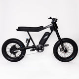P51 The Ace electric bike