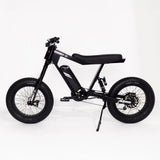 P51 The Ace e-bike