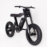 P51 The Ace e-bike color option