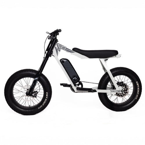 P51 Ranger e-bike