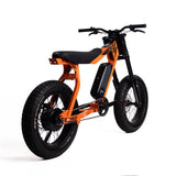P51 The Ranger e-bike