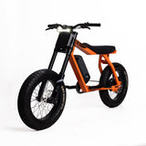 P51 The Ranger e-bike color option