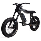 P51 The Ranger e-bike