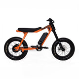 P51 The Ranger e-bike color option