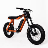 P51 The Ranger e-bike