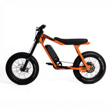 P51 The Ranger e-bike